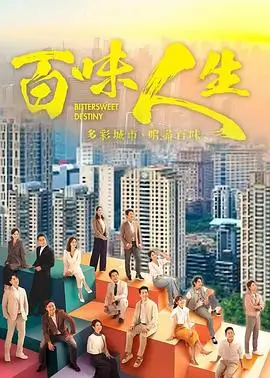 偷偷藏不住电视剧正片封面